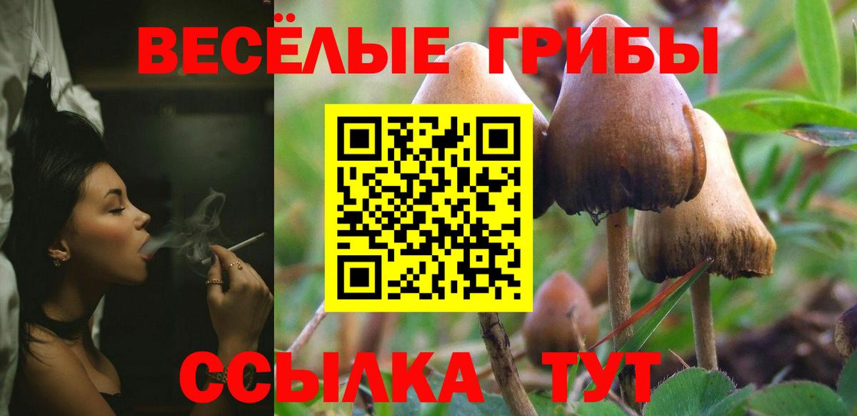 Галлюциногенные грибы GOLDEN TEACHER Октябрьский